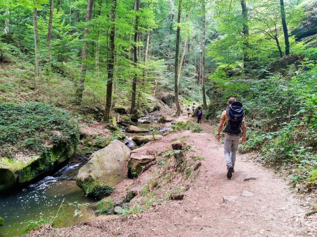 Nice Tent Lodge On A Campsite, Bordering The Forest, Luxembourg At 27 Km Medernach 외부 사진